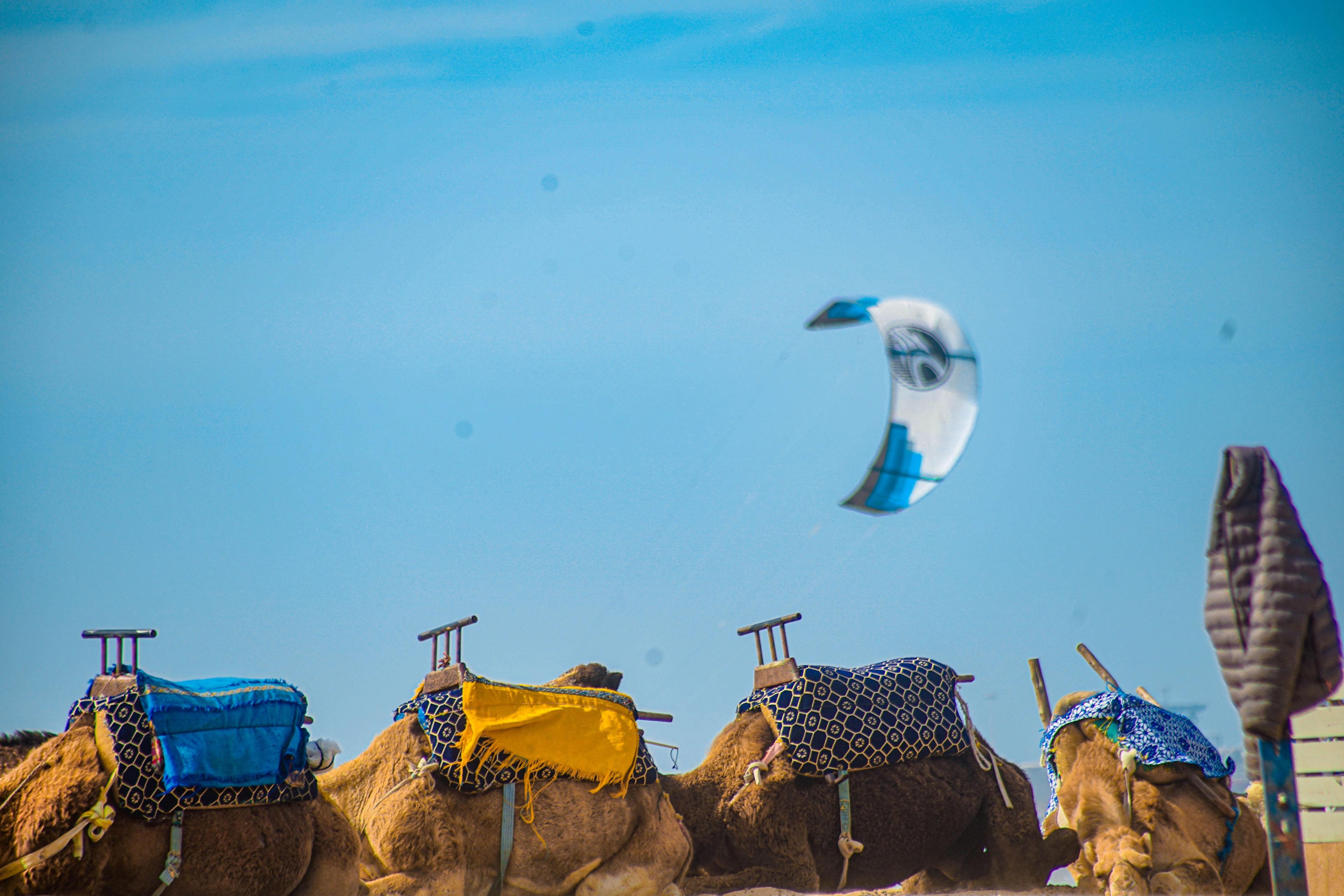 Surf lesson on the beach in Dakhla